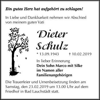 Traueranzeige von Dieter Schulz von Mitteldeutsche Zeitung Merseburg/Querfurt