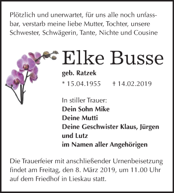 Traueranzeige von Elke Busse von Mitteldeutsche Zeitung Halle/Saalkreis