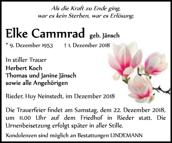 Traueranzeige von Elke Cammrad von Super Sonntag Quedlinburg
