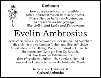 Traueranzeige von Evelin Ambrosius von WVG - Wochenspiegel Dessau / Köthen