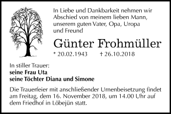 Traueranzeige von Günter Frohmüller von Mitteldeutsche Zeitung Halle/Saalkreis