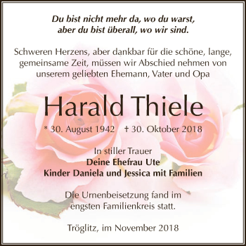 Traueranzeige von Harald Thiele von Super Sonntag Zeitz