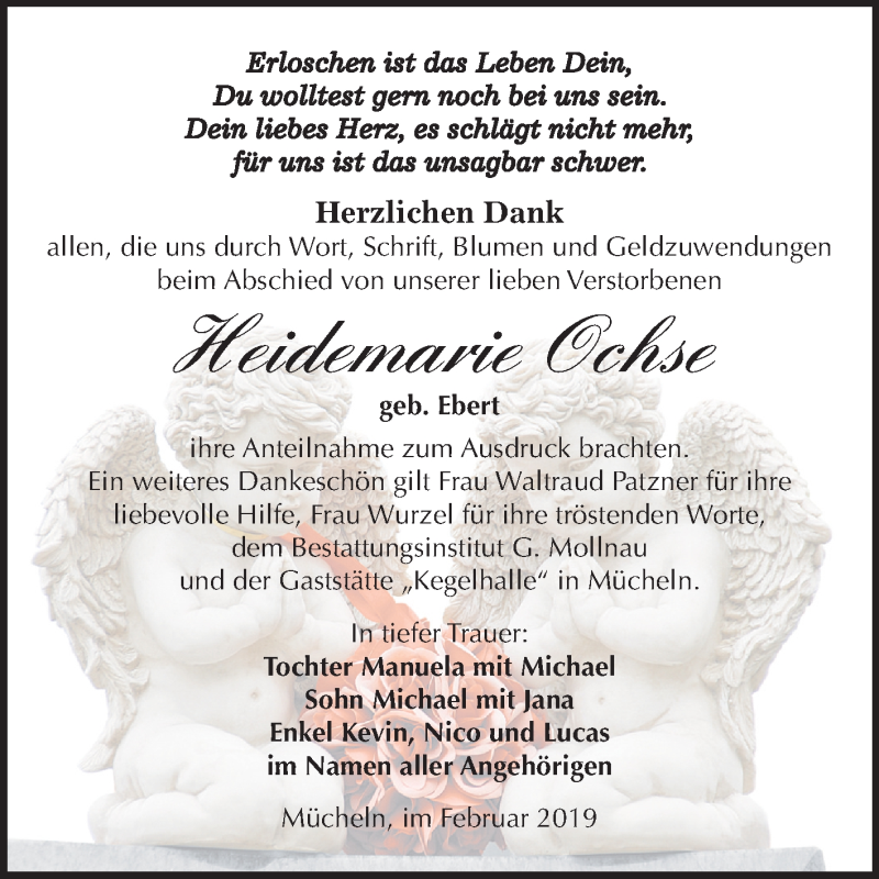  Traueranzeige für Heidemarie Ochse vom 23.02.2019 aus Mitteldeutsche Zeitung Merseburg/Querfurt