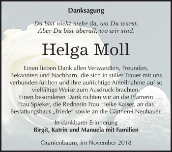 Traueranzeige von Helga Moll von Mitteldeutsche Zeitung Wittenberg