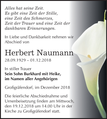 Traueranzeige von Herbert Naumann von Mitteldeutsche Zeitung Merseburg/Querfurt