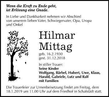 Traueranzeige von Hilmar Mittag von WVG - Wochenspiegel Merseburg