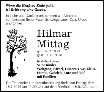 Traueranzeige von Hilmar Mittag von Mitteldeutsche Zeitung Merseburg/Querfurt