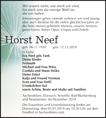 Traueranzeige von Horst Neef von Mitteldeutsche Zeitung Aschersleben
