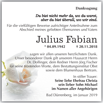 Traueranzeige von Julius Fabian von Mitteldeutsche Zeitung Merseburg/Querfurt