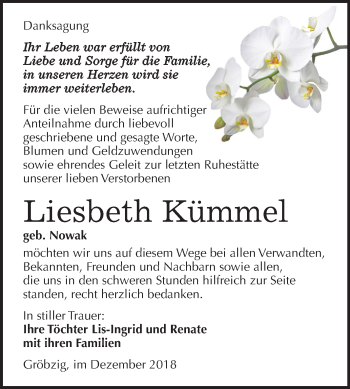 Traueranzeige von Liesbeth Kümmel von Mitteldeutsche Zeitung Köthen