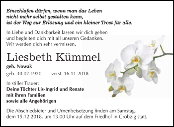 Traueranzeige von Liesbeth Kümmel von WVG - Wochenspiegel Dessau / Köthen