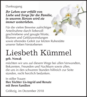 Traueranzeige von Liesbeth Kümmel von WVG - Wochenspiegel Dessau / Köthen
