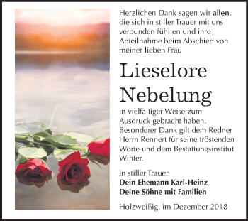 Traueranzeige von Lieselore Nebelung von Mitteldeutsche Zeitung Bitterfeld