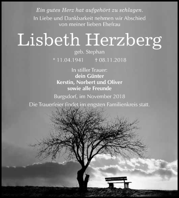 Traueranzeige von Lisbeth Herzberg von Super Sonntag SGH Mansf. Land