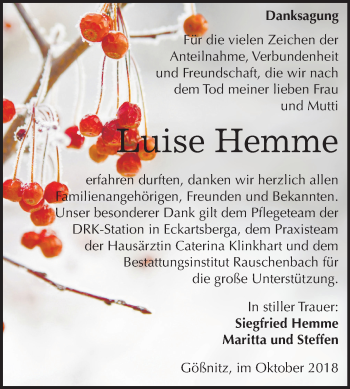 Traueranzeige von Luise Hemme von Mitteldeutsche Zeitung Naumburg/Nebra