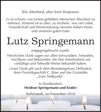 Traueranzeige von Lutz Springemann von Mitteldeutsche Zeitung Quedlinburg