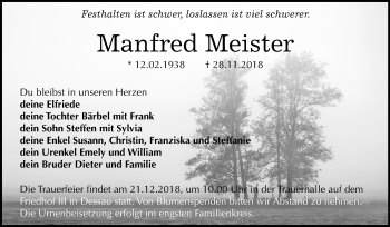 Traueranzeige von Manfred Meister von Mitteldeutsche Zeitung Dessau-Roßlau