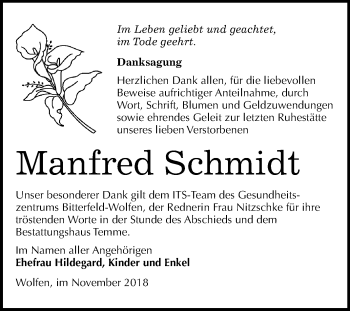 Traueranzeige von Manfred Schmidt von Mitteldeutsche Zeitung Bitterfeld