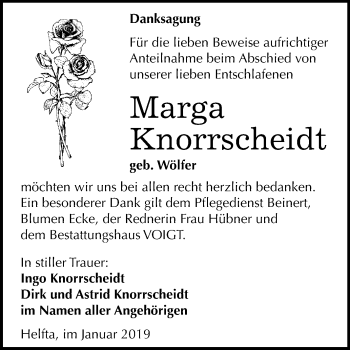 Traueranzeige von Marga Knorrscheidt von Super Sonntag SGH Mansf. Land