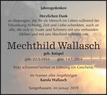 Traueranzeige von Mechthild Wallasch von Mitteldeutsche Zeitung Sangerhausen