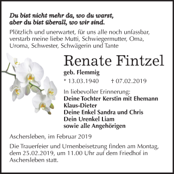 Traueranzeige von Renate Fintzel von Mitteldeutsche Zeitung Aschersleben