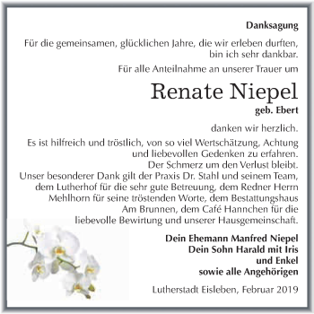 Traueranzeige von Renate Niepel von Super Sonntag SGH Mansf. Land