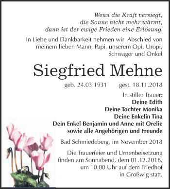 Traueranzeige von Siegfried Mehne von WVG - Wochenspiegel Wittenberg