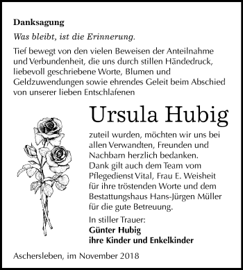 Traueranzeige von Ursula Hubig von Mitteldeutsche Zeitung Aschersleben