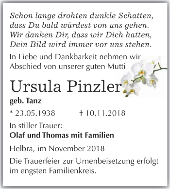 Traueranzeige von Ursula Pinzler von Super Sonntag SGH Mansf. Land