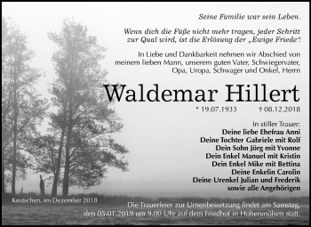 Traueranzeige von Waldemar Hillert von WVG - Wochenspiegel NMB / WSF / ZTZ