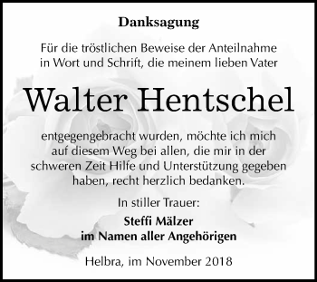 Traueranzeige von Walter Hentschel von Wochenspiegel Mansfelder Land
