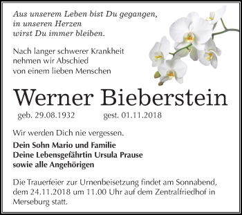 Traueranzeige von Werner Bieberstein von Mitteldeutsche Zeitung Merseburg/Querfurt