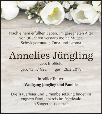 Traueranzeige von Annelies Jüngling von Mitteldeutsche Zeitung