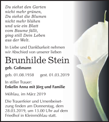Traueranzeige von Brunhilde Stein von WVG - Wochenspiegel Wittenberg