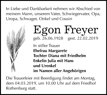 Traueranzeige von Egon Freyer von Mitteldeutsche Zeitung