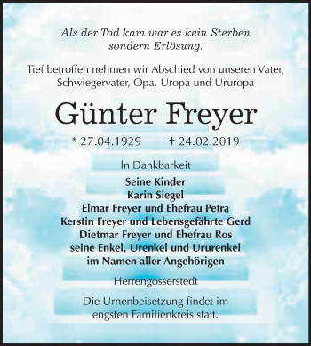 Traueranzeige von Günter Freyer von WVG - Wochenspiegel NMB / WSF / ZTZ