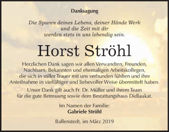Traueranzeige von Horst Ströhl von Super Sonntag Aschersleben