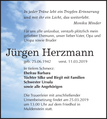 Traueranzeige von Jürgen Herzmann von Mitteldeutsche Zeitung Bitterfeld