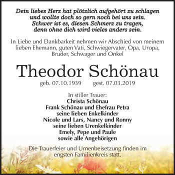 Traueranzeige von Theodor Schönau von Super Sonntag SGH Mansf. Land