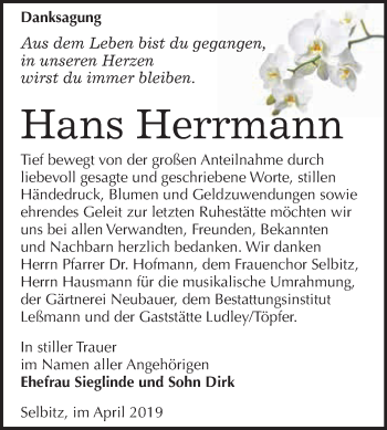 Traueranzeige von Hans Herrmann von WVG - Wochenspiegel Wittenberg