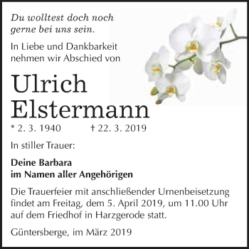 Traueranzeige von Ulrich Elstermann von WVG - Wochenspiegel Quedlinburg