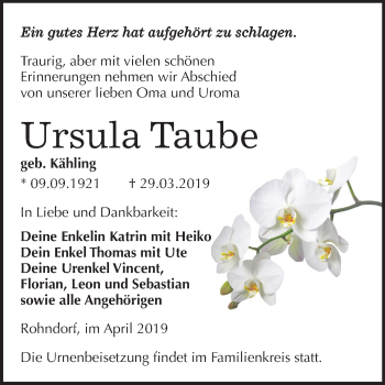 Traueranzeige von Ursula Taube von Mitteldeutsche Zeitung Köthen