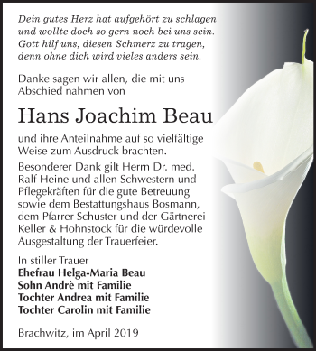 Traueranzeige von Hans Joachim Beau von Mitteldeutsche Zeitung Halle/Saalkreis
