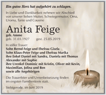 Traueranzeige von Anita Feige von Mitteldeutsche Zeitung Mansfelder Land