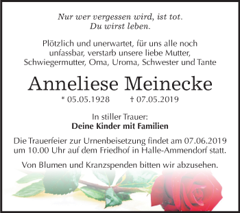 Traueranzeige von Anneliese Meinecke von Mitteldeutsche Zeitung Halle/Saalkreis
