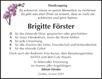 Traueranzeige von Brigitte Förster von Super Sonntag Wittenberg