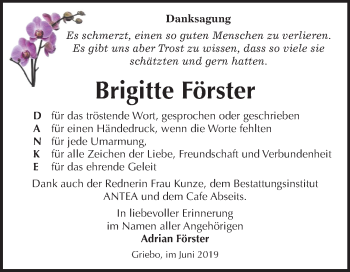 Traueranzeige von Brigitte Förster von Mitteldeutsche Zeitung