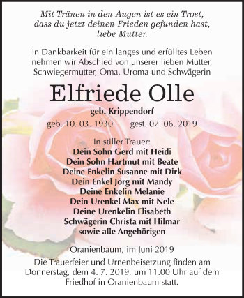 Traueranzeige von Elfriede Olle von WVG - Wochenspiegel Wittenberg