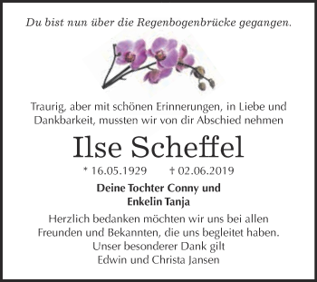 Traueranzeige von Ilse Scheffel von WVG - Wochenspiegel Dessau / Köthen