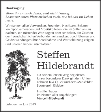Traueranzeige von Steffen Hildebrandt von Super Sonntag SGH Mansf. Land